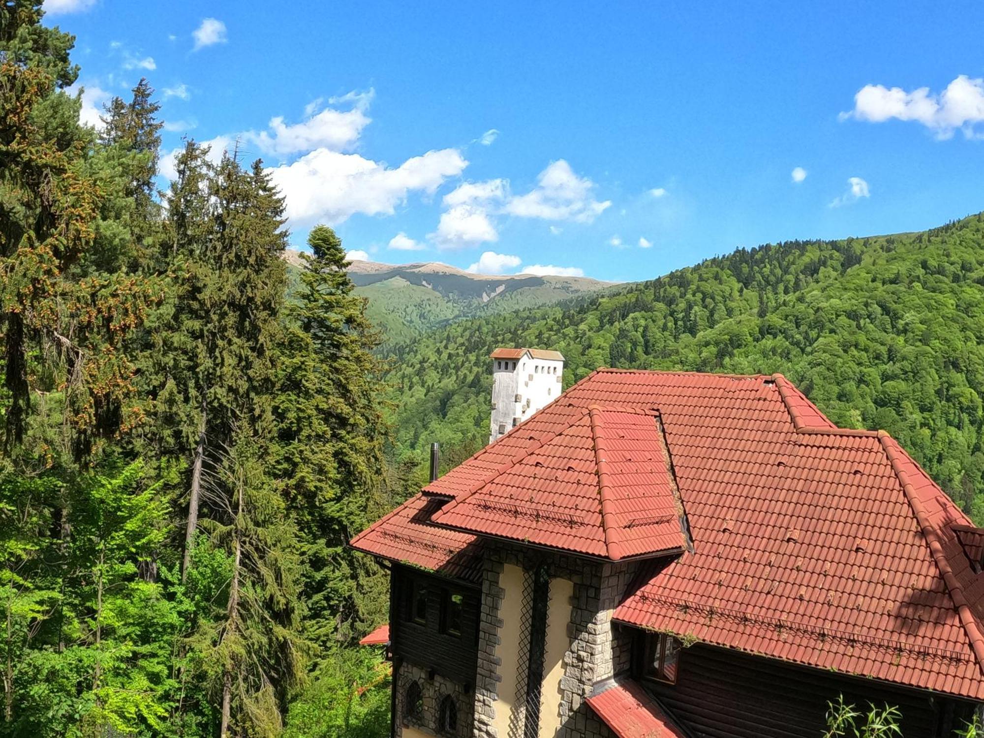 Casa Adina Pensiune Sinaia