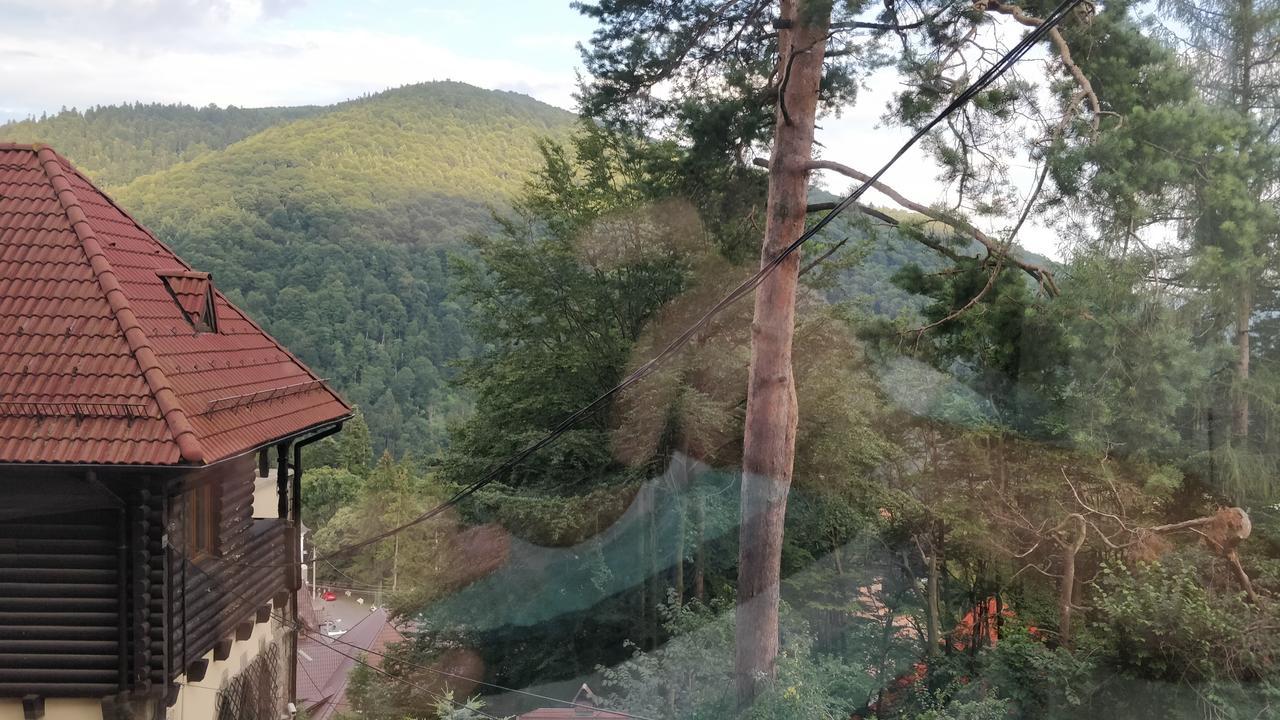 Casa Adina Sinaia